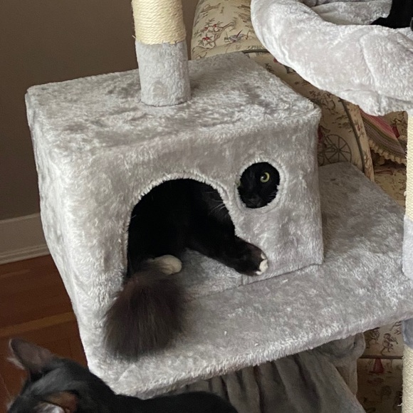 Meet your Posher, Jody - Picture 1 of 1